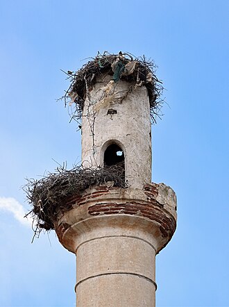Remains of a minaret in the village of Dobrošinci